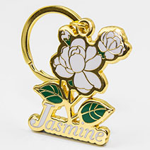 Hard Enamel Keychain